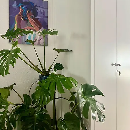La Casa De Char Apartment